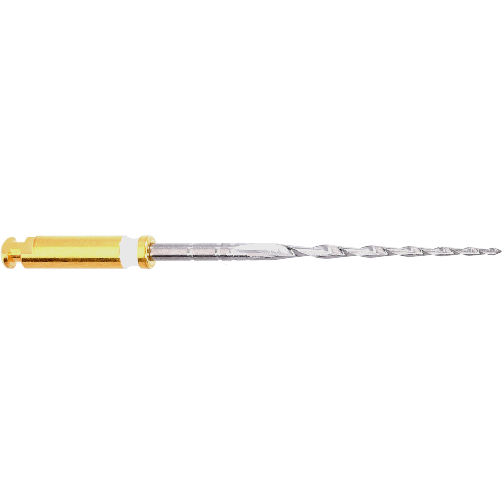 F360 F06L25.204 ENDODONTIC FILES  Kometdental (копія)