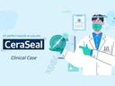 Церасіл, шприц 2 г (Ceraseal)