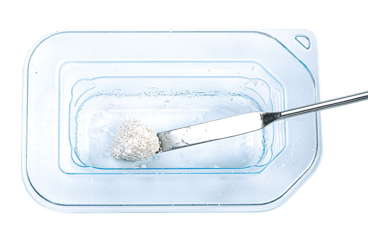 Гранули CERABONE PLUS (Botiss biomaterials)