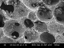 Гранули Maxresorb (Botiss biomaterials)