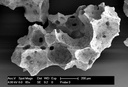 Гранули Maxresorb (Botiss biomaterials)