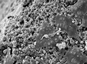 Гранули Maxresorb (Botiss biomaterials)