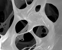 Колагеновий гемостатик Коллакон, уп.12 шт, COLLACONE (Botiss biomaterials)