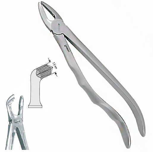Щипці екстракційні ( 79 анат.) (DE.800.790)