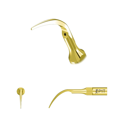 Насадка для скалера P1T