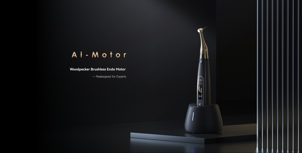 Ендомотор Ai-Motor (Вудпекер)