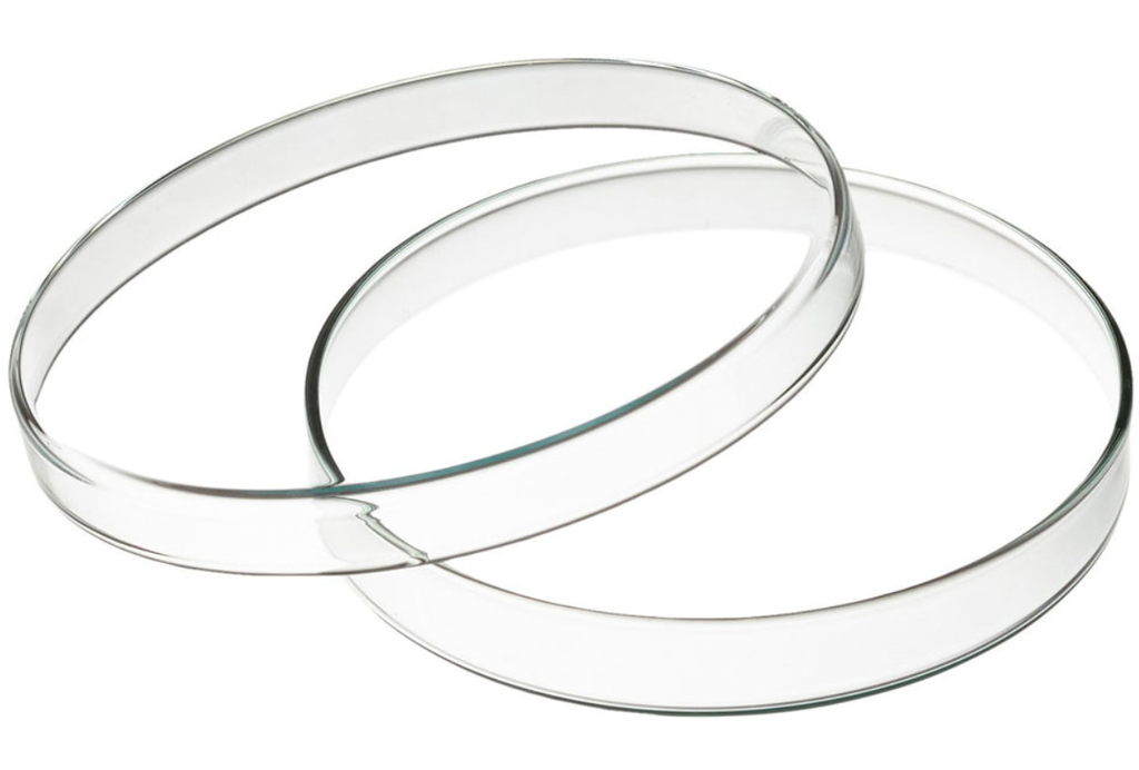 Чашка Петрі MICROMED 100 мм., скляна