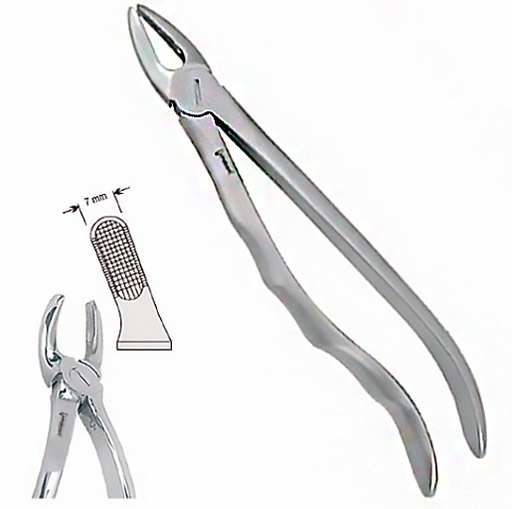 [DE.800.190] Щипці екстракційні ( 19 анат.) (DE.800.190)