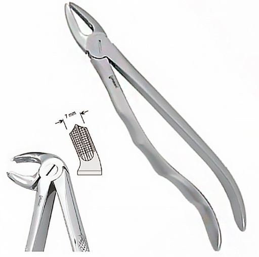 [DE.800.240] Щипці екстракційні ( 24 анат.) (DE.800.240)