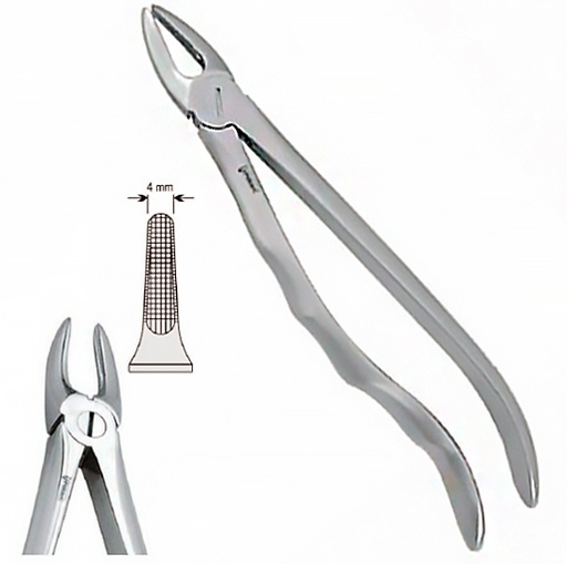 [DE.800.290] Щипці екстракційні ( 29 анат.) (DE.800.290)