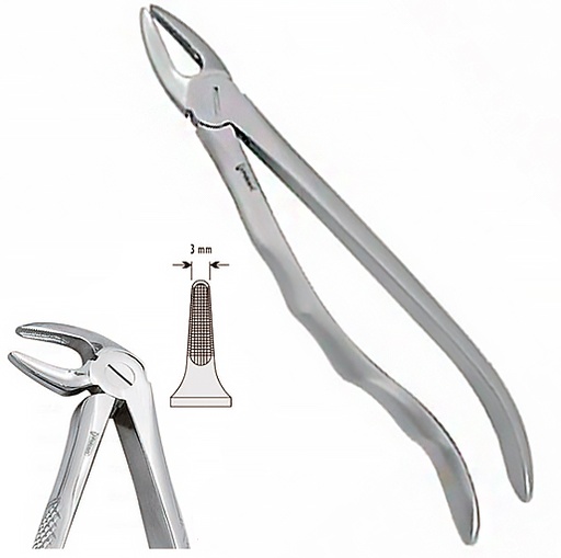 [DE.800.331] Щипці екстракційні (33А анат.) (DE.800.331)