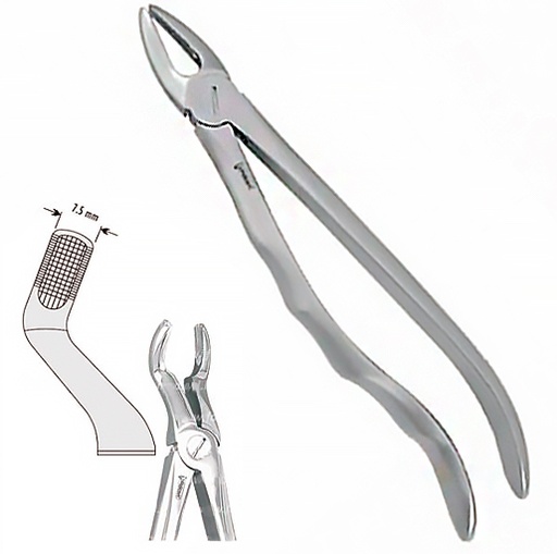 [DE.800.671] Щипці екстракційні ( 67А анат.) (DE.800.671)