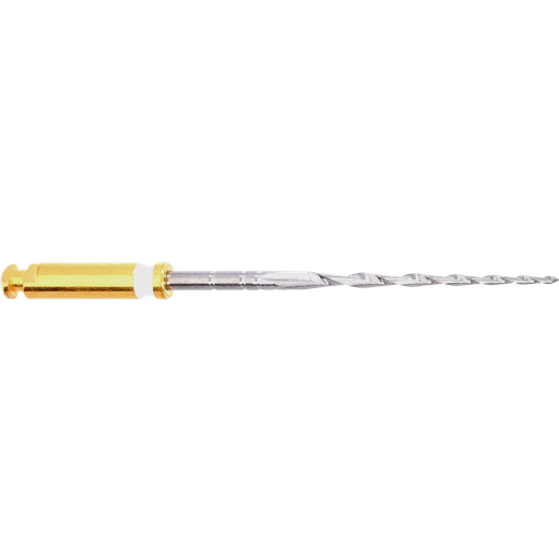 F360 F04L25.204 ENDODONTIC FILES  Kometdental