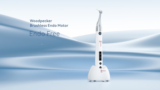Ендомотор Endo Free (Вудпекер)